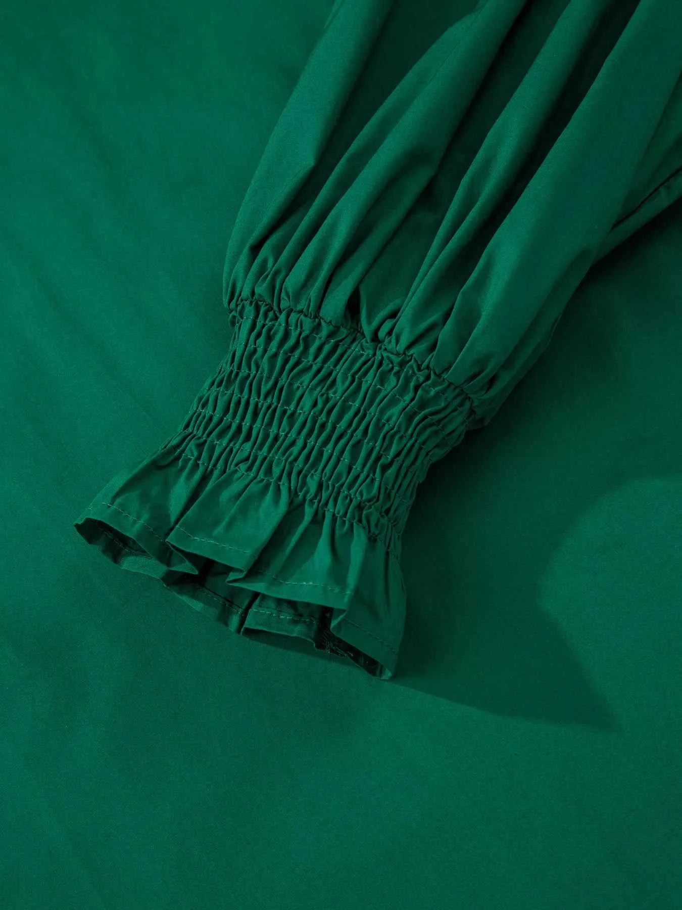 Puffy Flounce Sleeve Leopard Trim V Neck Blouse